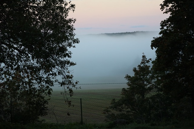 usvainen pelto